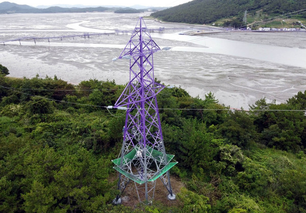 퍼플섬 보라색 배전 철탑.