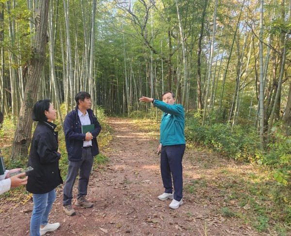 이병노 담양군수(오른쪽 첫번째)가 금성산성 대나무 생태공원을 찾아 대숲 맨발길 조성 사업 현장 점검을 하고 있다.     /담양군 제공