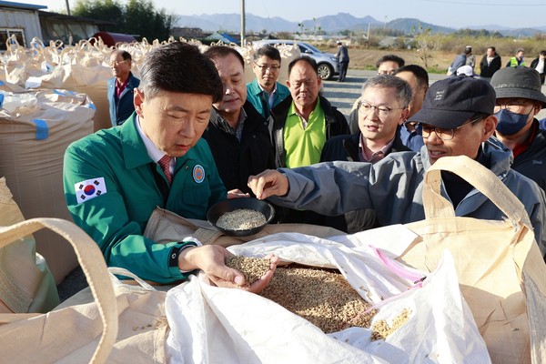 김철우(왼쪽) 보성군수가 지난 9일 조성면에 위치한 가루쌀 생산단지에서 가루쌀을 살펴보고 있다.                              /보성군 제공
