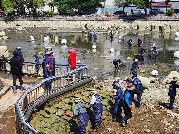 여수시가 지난 10일 대대적으로 거북선공원 호수를 청소하고 있다.                                                                            /여수시 제공