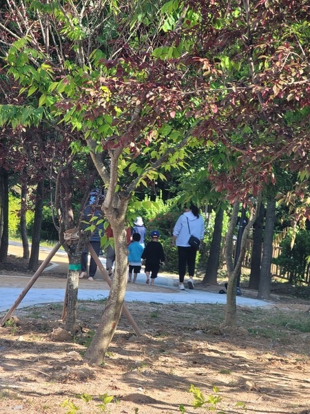 주민들이 효천2지구 맨발 산책길을 걷고 있다.  		                    /광주 남구 제공